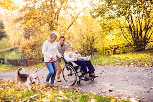 Pareja mayor con un perro y una anciana en silla de ruedas sosteniendo a un bebé. Una familia extensa en un paseo por la naturaleza otoñal.