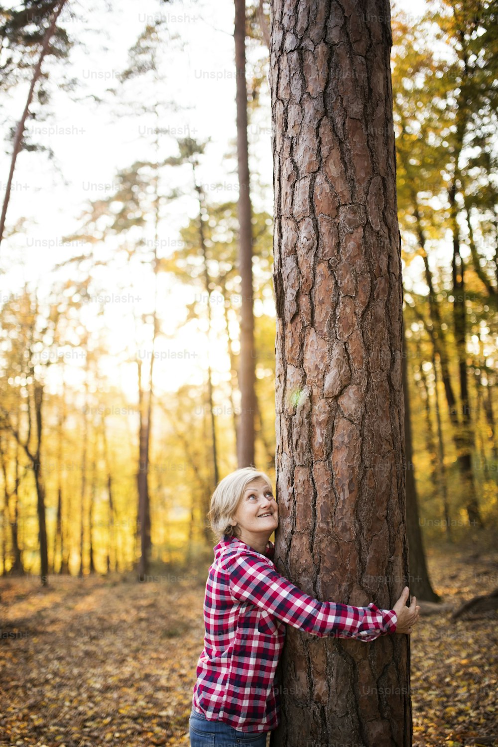 Active senior woman on a walk in a beautiful autumn forest. Tree hugger.