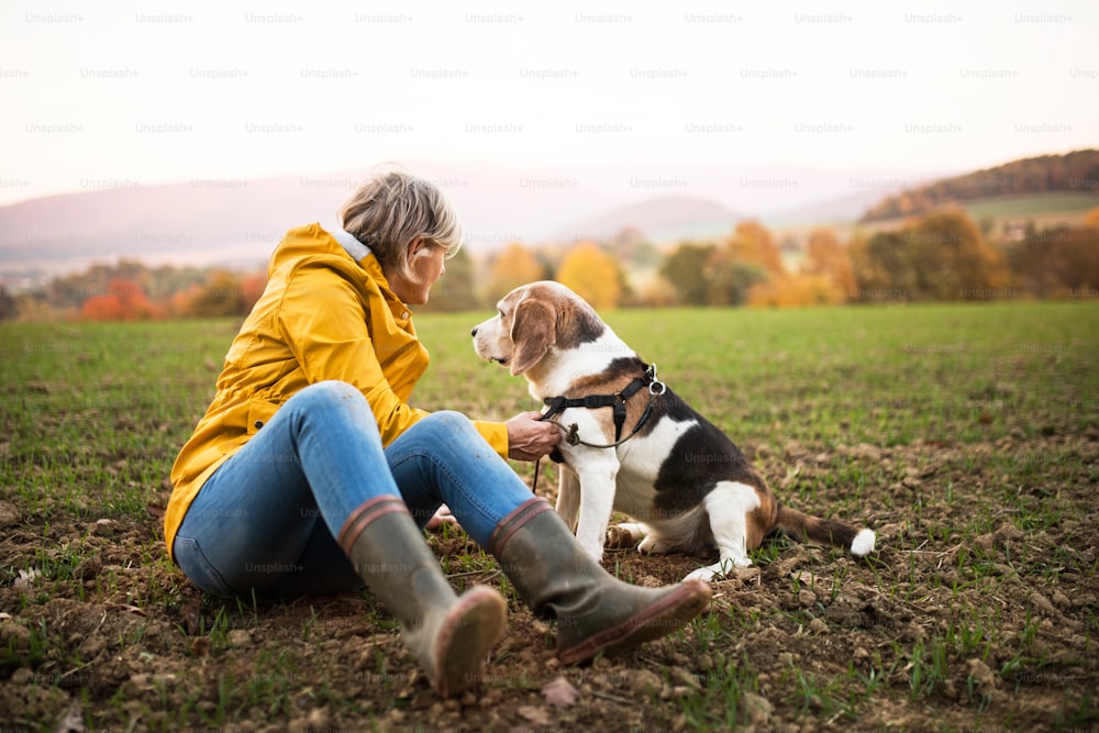 美しい秋の自然の中で散歩する犬を持つアクティブな年配の女性。