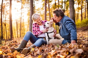 Active senior couple with dog on a walk in a beautiful autumn forest.