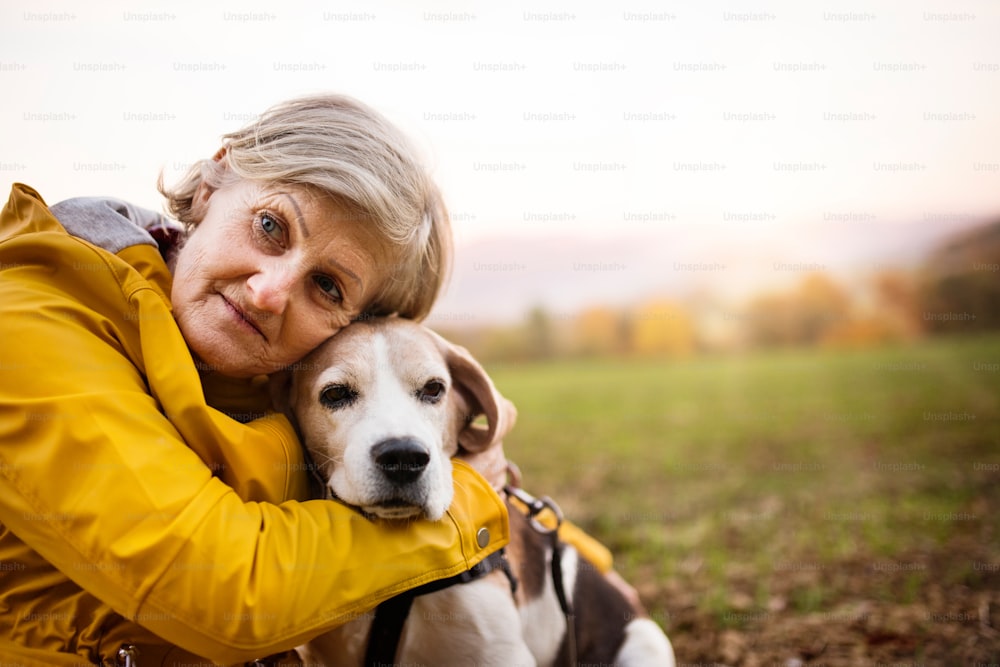 Mulher idosa ativa com cão em um passeio em uma bela natureza de outono.