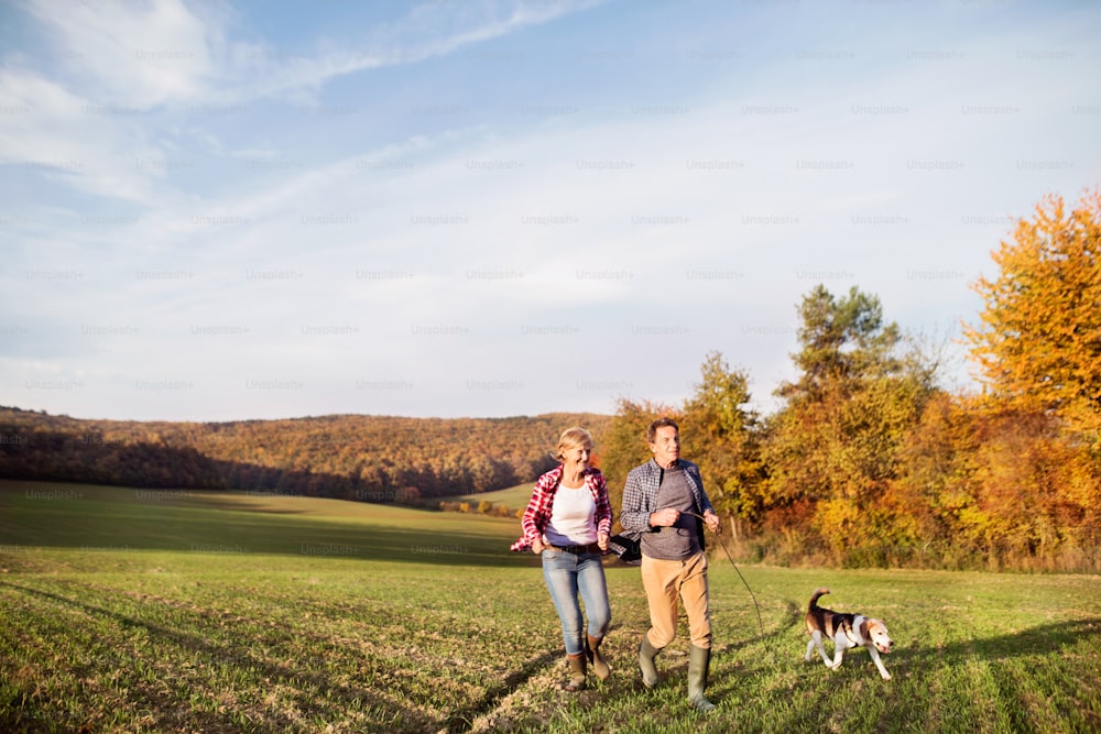 Active senior couple with dog on a walk in a beautiful autumn nature.