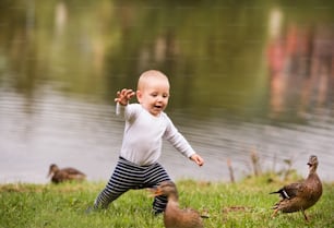 Cute little boy making first steps in nature. Summer time.