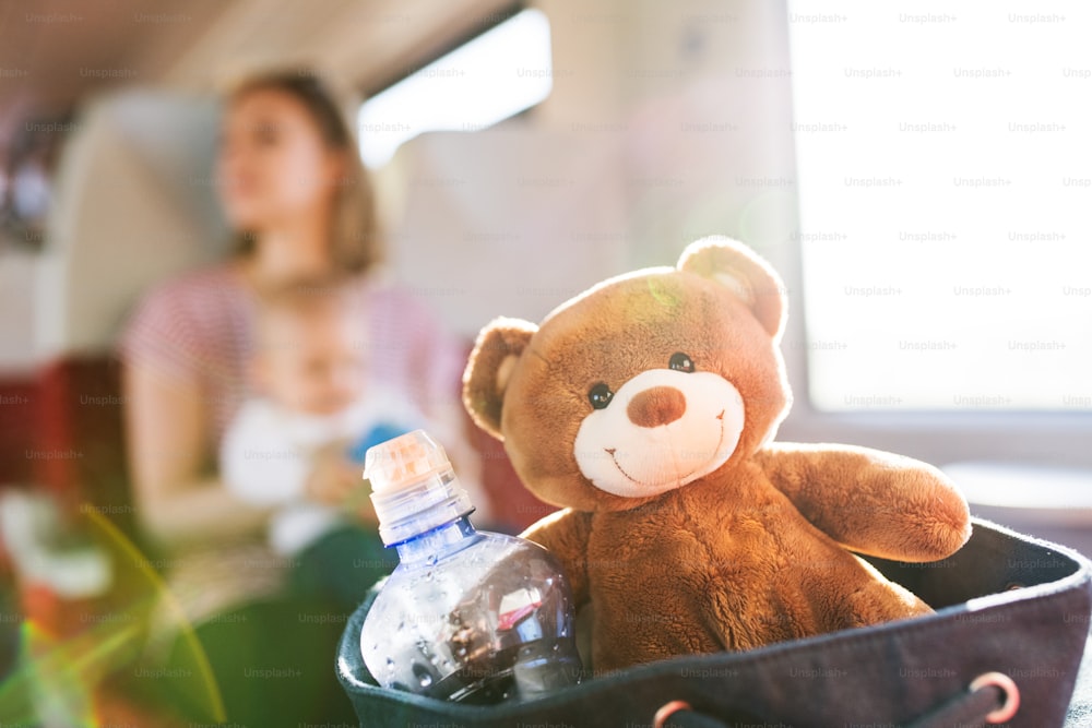 Young mother travelling with baby boy by train. Railway journey of a beautiful woman and her son.