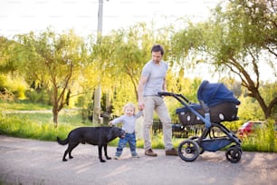 Jeune père en plein air dans un parc d’été ensoleillé lors d’une promenade avec un joli petit garçon, une petite fille en poussette et un chien noir.