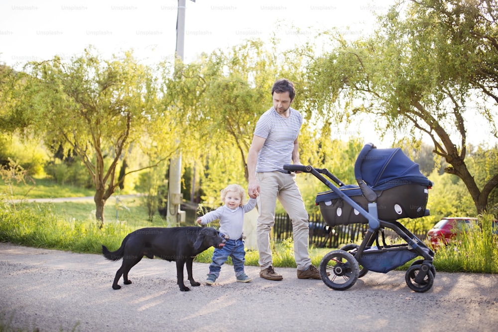 Young father outdoors in sunny summer park on a walk with cute little son, baby daughter in stroller and black dog.