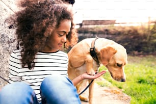 Schönes afroamerikanisches Mädchen mit lockigem Haar, das mit ihrem Hund nach draußen geht und sein Pad hält.