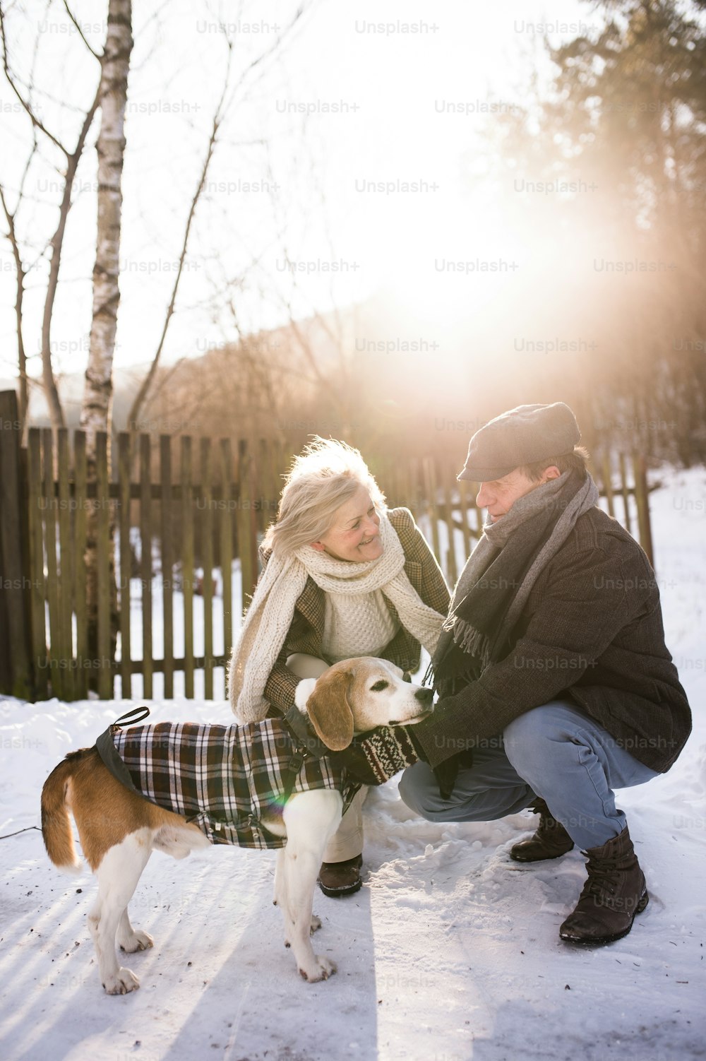 Bela mulher sênior e homem em um passeio com seu cão na natureza ensolarada do inverno.