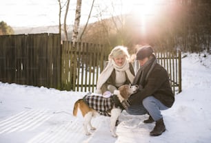 Schöne ältere Frau und Mann auf einem Spaziergang mit ihrem Hund in sonniger Winternatur.