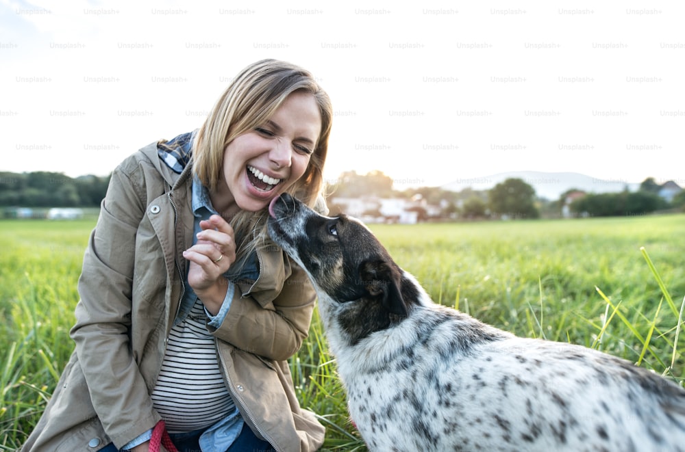 Beautiful young pregnant woman on a walk with a dog in green sunny nature, dog licking her face