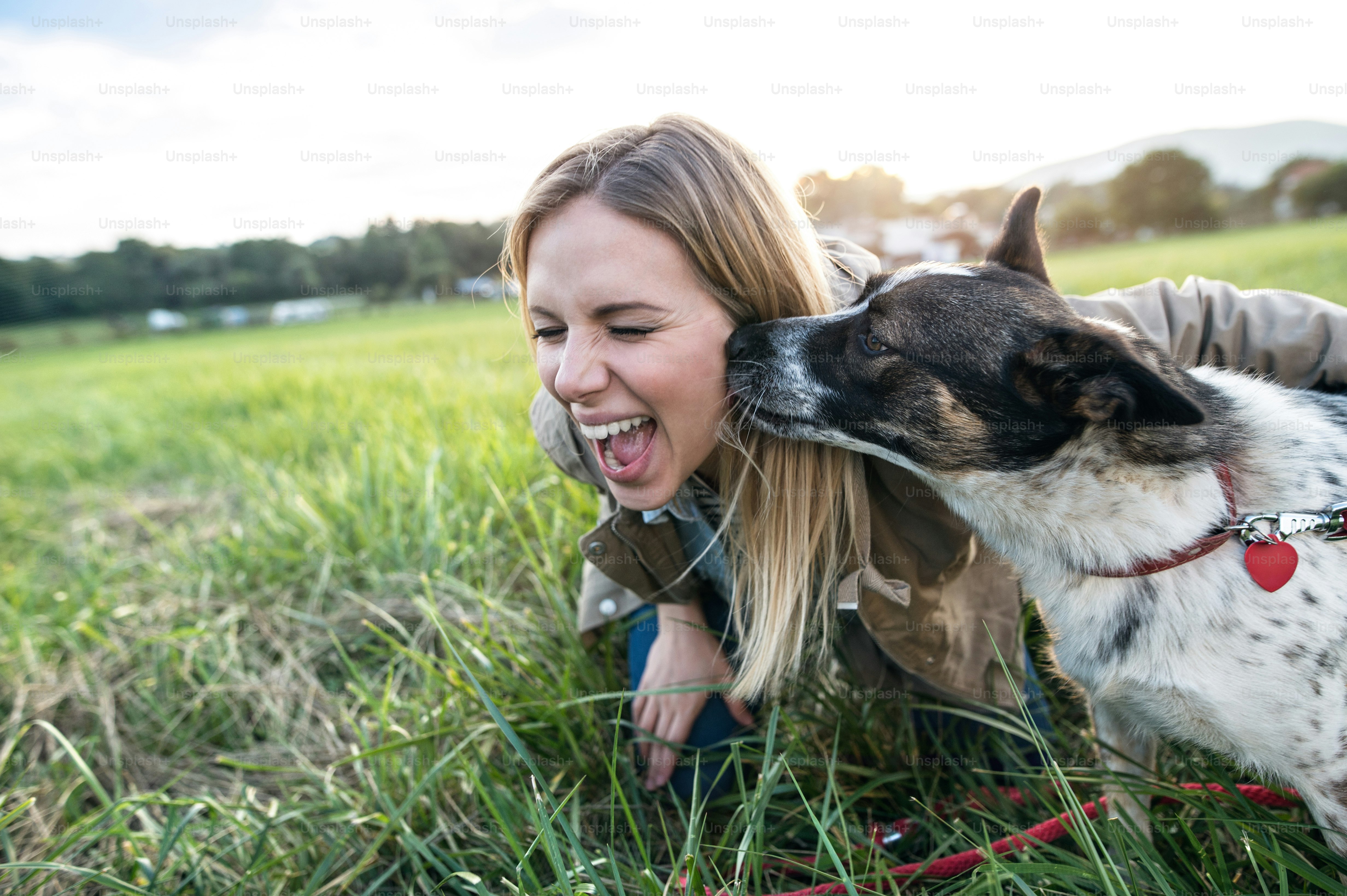 Choose from a curated selection of cute photos. Always free on Unsplash.