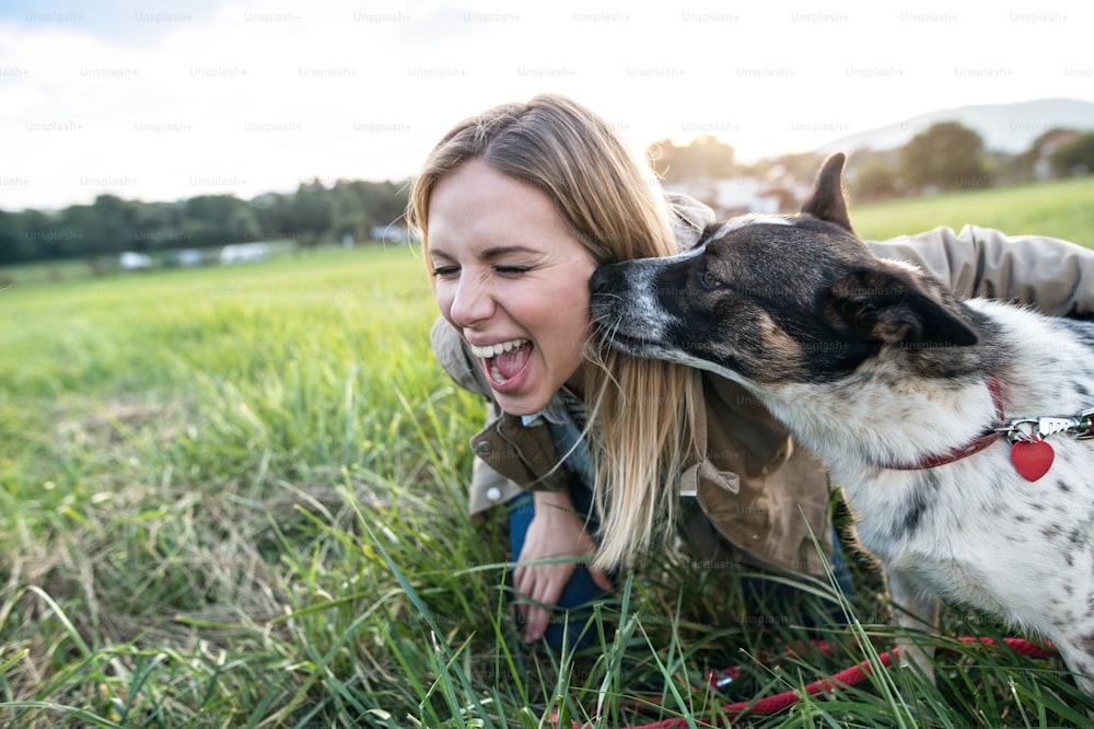 Belle jeune femme en promenade avec un chien dans une nature verte et ensoleillée, chien léchant son visage