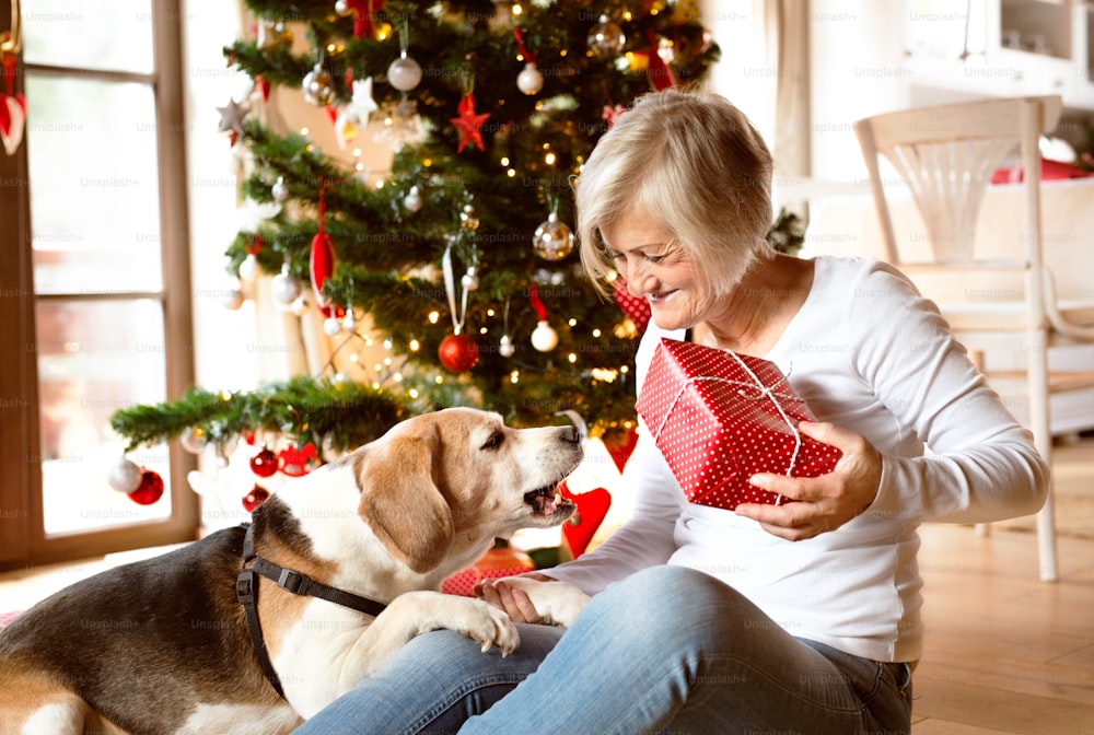 Schöne ältere Frau, die mit ihrem Hund vor dem Weihnachtsbaum auf dem Boden sitzt und Geschenke in ihrem Haus öffnet.