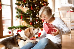 美しい年配の女性が、家の中のクリスマスツリーのオープニングプレゼントの前で犬と一緒に床に座っています。