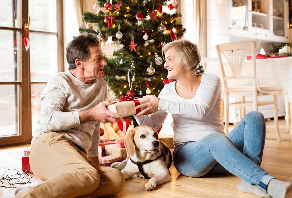 Senior couple with their dog sitting on the floor in front of illuminated Christmas tree inside their house giving presents to each other.