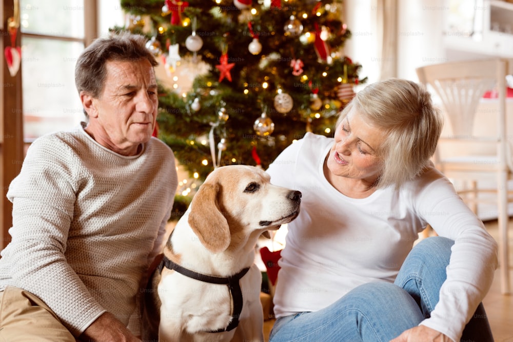 Senior couple with their dog sitting on the floor in front of illuminated Christmas tree inside their house.