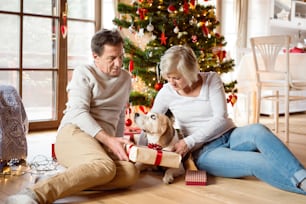 Senior couple with their dog sitting on the floor in front of illuminated Christmas tree inside their house giving presents to each other.