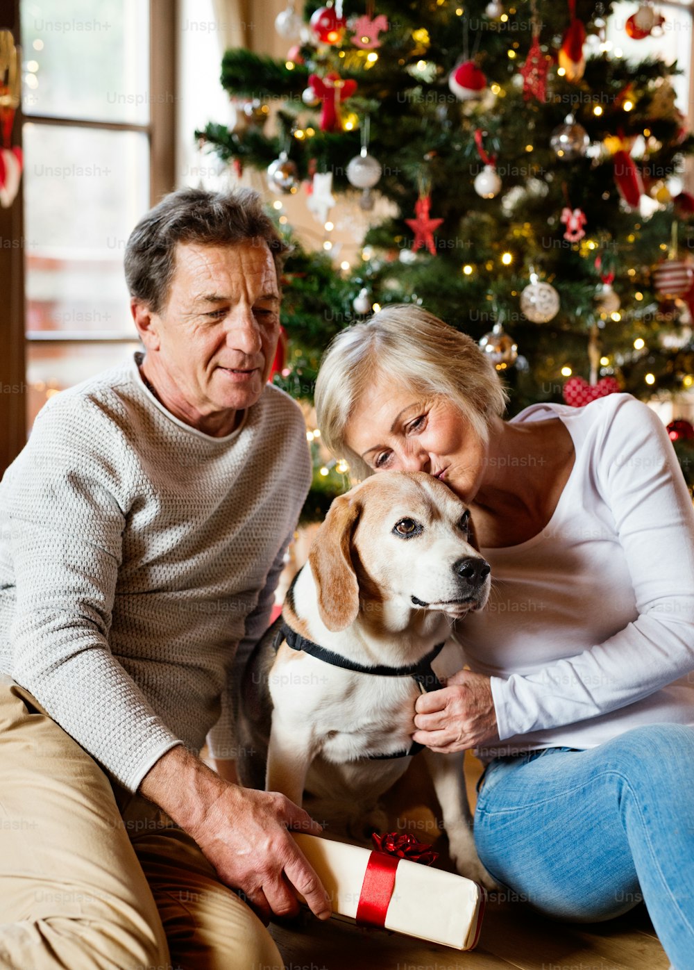 Pareja mayor con su perro sentado en el suelo frente al árbol de Navidad iluminado dentro de su casa dándose regalos el uno al otro.