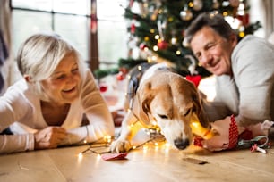 Un couple de personnes âgées allongé sur le sol devant un arbre de Noël illuminé à l’intérieur de leur maison avec leur chien emmêlé dans une chaîne de lumières, déballant un cadeau.