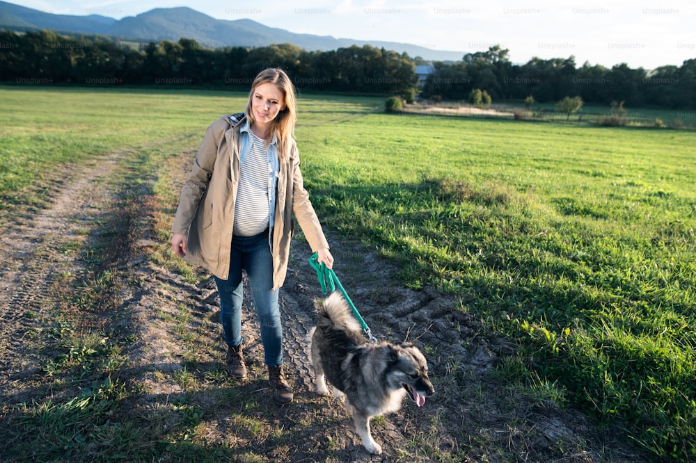 Hermosa joven embarazada en un paseo con un perro en la naturaleza verde y soleada