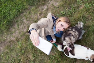 Schöne junge Frau auf einem Spaziergang mit einem Hund in grüner, sonniger Natur, Selfie mit Smartphone.