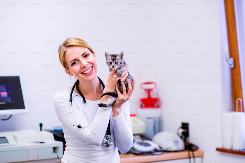 Veterinario con estetoscopio sosteniendo pequeño gato enfermo. Joven rubia con uniforme blanco trabajando en clínica veterinaria.