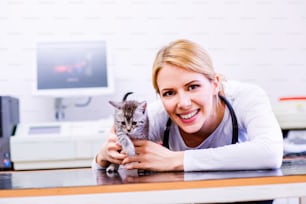 小さな病気の猫を持つ聴診器を持つ獣医。獣医病院で働く白い制服を着た若い金髪の女性。