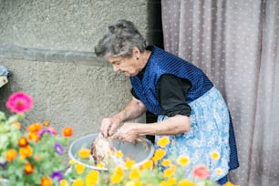 Ältere Frau putzt und wäscht frisch geschlachtetes Huhn draußen vor ihrem Haus.