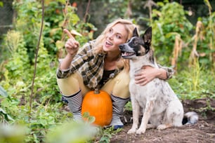 Beautiful young blond woman in checked shirt with her dog working in garden harvesting pumpkins. Autumn nature.