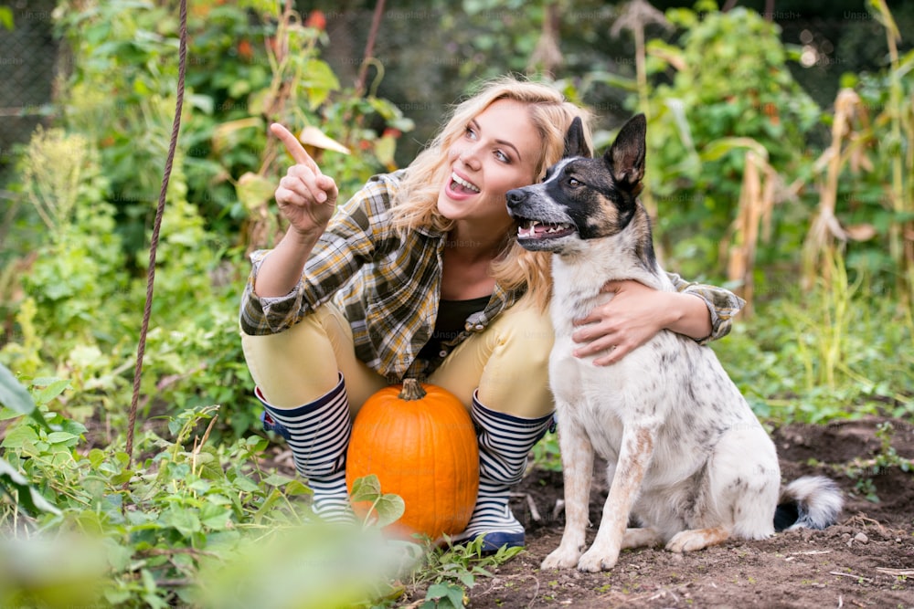 チェックのシャツを着た美しい若い金髪の女性と、庭の収穫カボチャで働く犬。秋の自然。