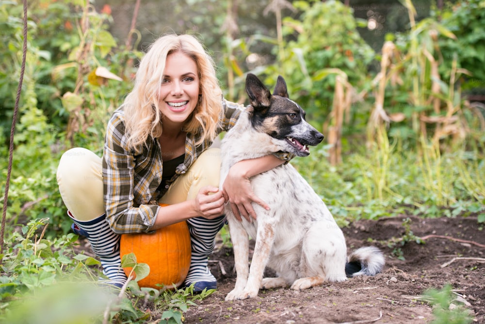 Mulher loira jovem bonita na camisa xadrez com seu cão trabalhando no jardim colhendo abóboras. Natureza de outono.