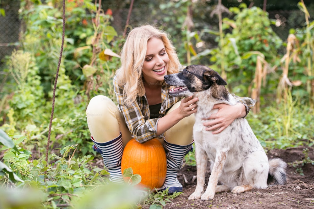 Beautiful young blond woman in checked shirt with her dog working in garden harvesting pumpkins. Autumn nature.