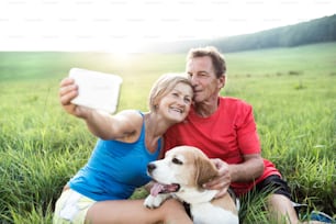 Senior couple running with their dog, resting, taking selfie with smart phone. Green sunny summer nature.