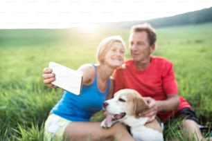 Senior couple running with their dog, resting, taking selfie with smart phone. Green sunny summer nature.