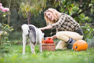 Beautiful young blond woman in checked shirt with her dog working in garden harvesting pumpkins. Autumn nature.