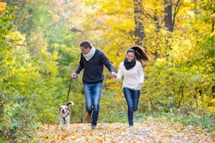 Beautiful young couple with dog running in colorful sunny autumn forest
