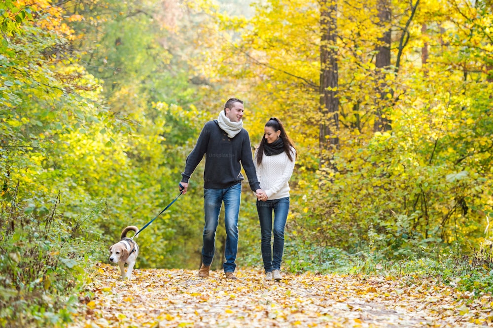 Beautiful young couple with dog on a walk in colorful sunny autumn forest