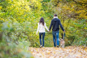 Beau jeune couple avec chien en promenade dans une forêt d’automne colorée et ensoleillée, vue arrière