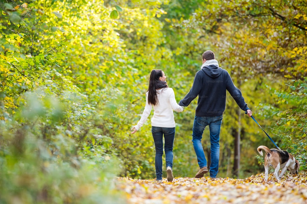 Beautiful young couple with dog on a walk in colorful sunny autumn forest, rear view