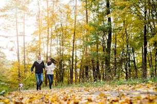 Beautiful young couple with dog running in colorful sunny autumn forest