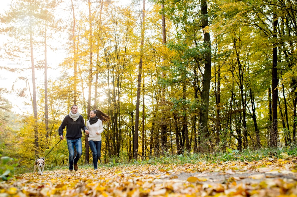 Beautiful young couple with dog running in colorful sunny autumn forest