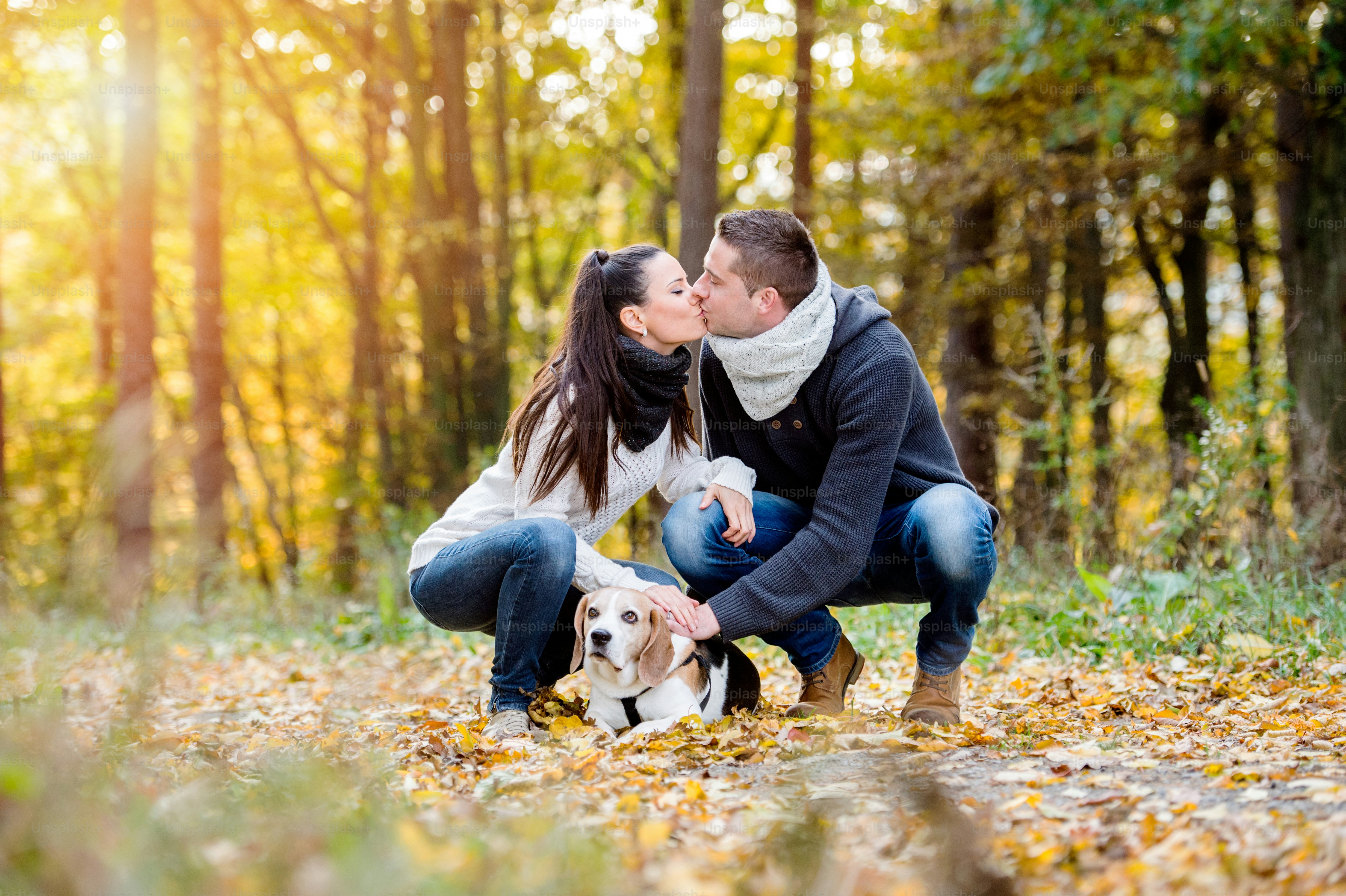 Beautiful young couple walking a dog in colorful sunny autumn forest, crouching, kissing