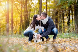 Beautiful young couple walking a dog in colorful sunny autumn forest, crouching, kissing
