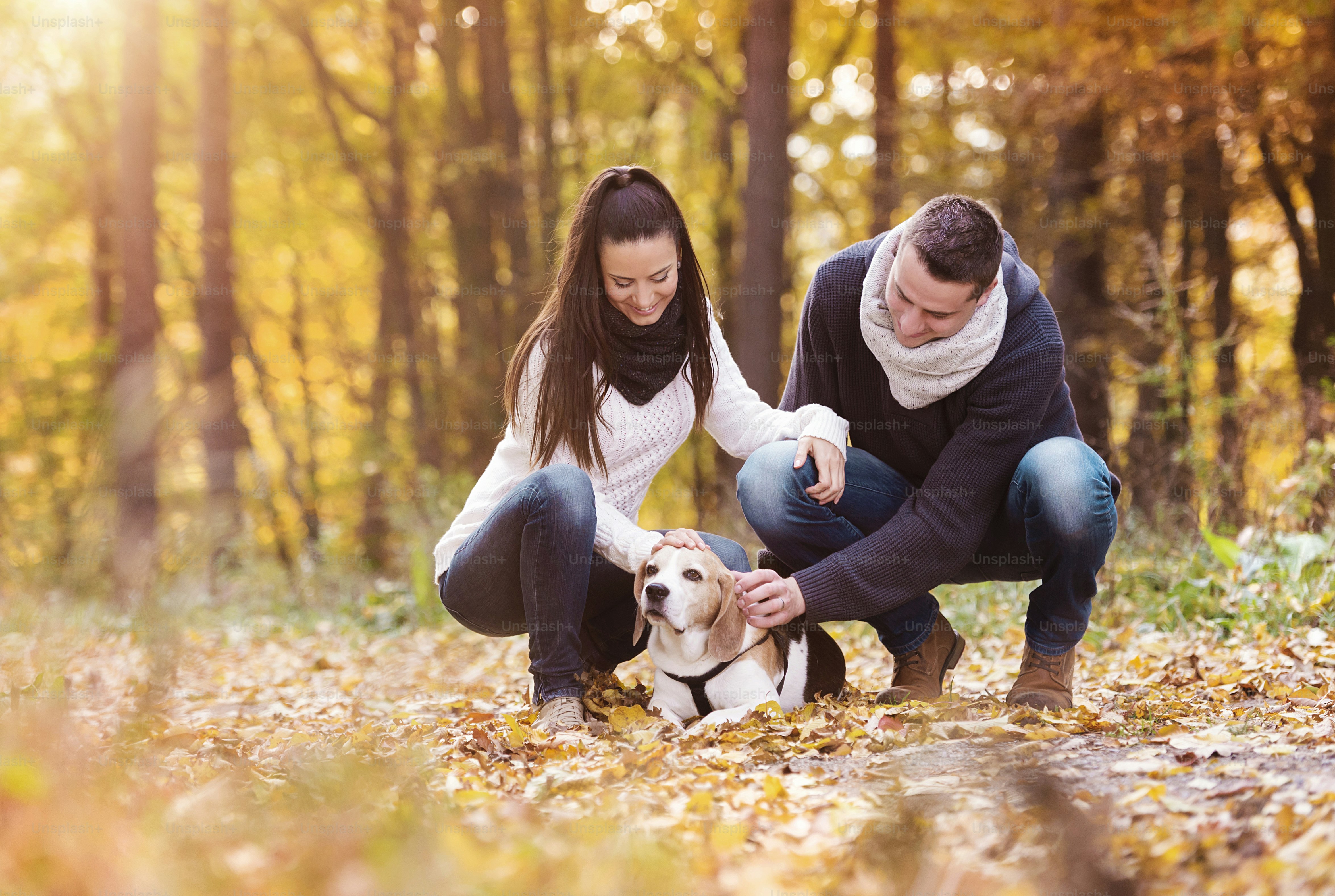 Beautiful young couple with dog in autumn forest photo – Leaf Image on ...