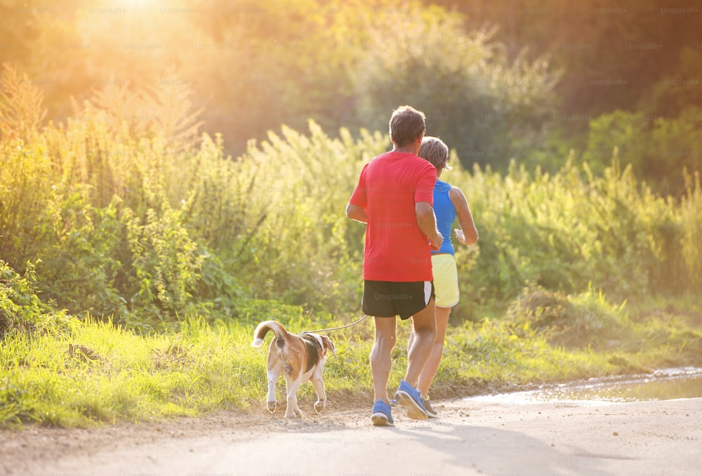 Active seniors running with their dog outside in green nature