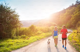 Active seniors running with their dog outside in green nature