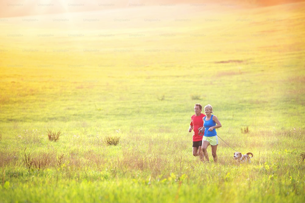 Active seniors running with their dog outside in green nature