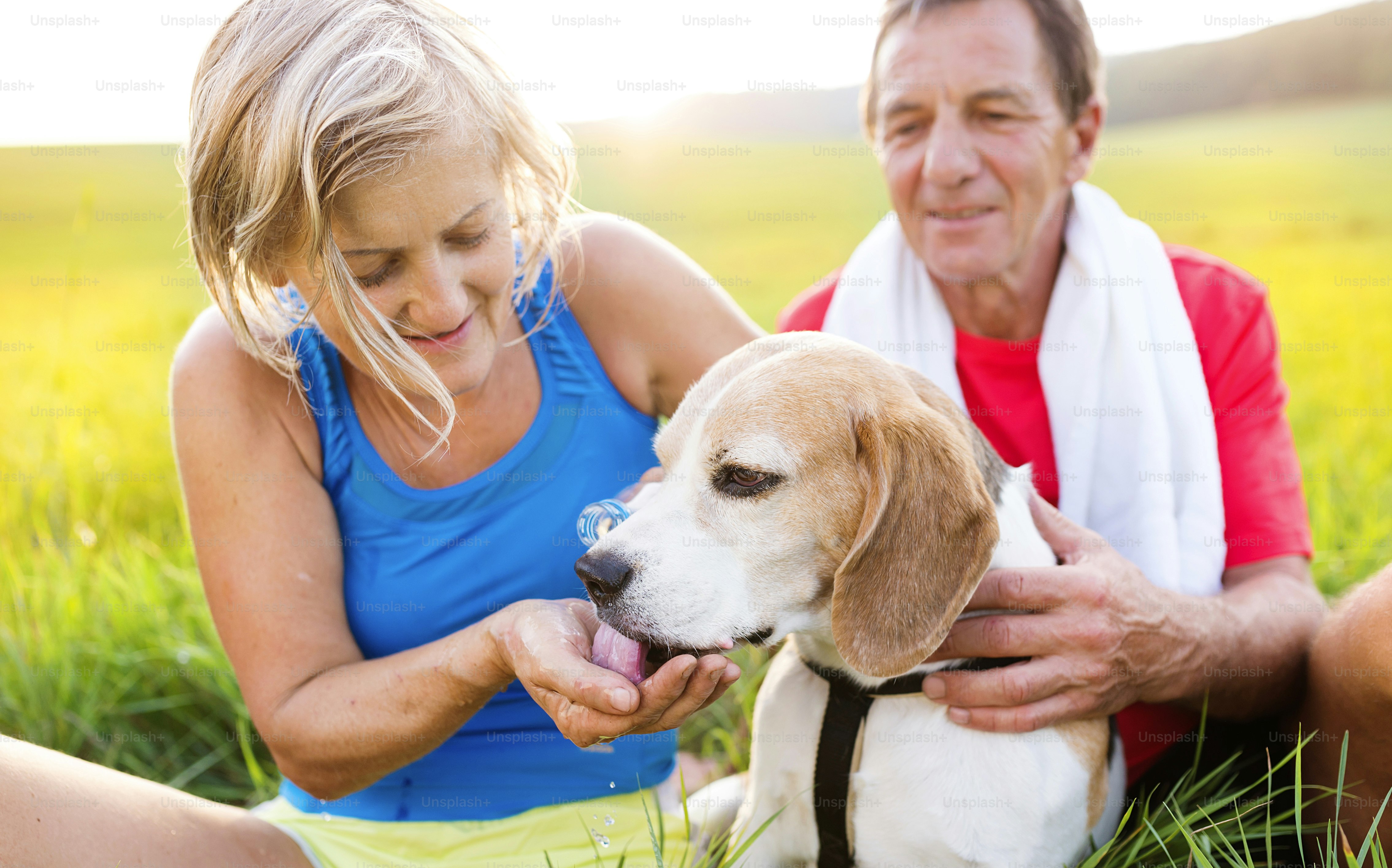 Active seniors having a break during their run outside in green nature