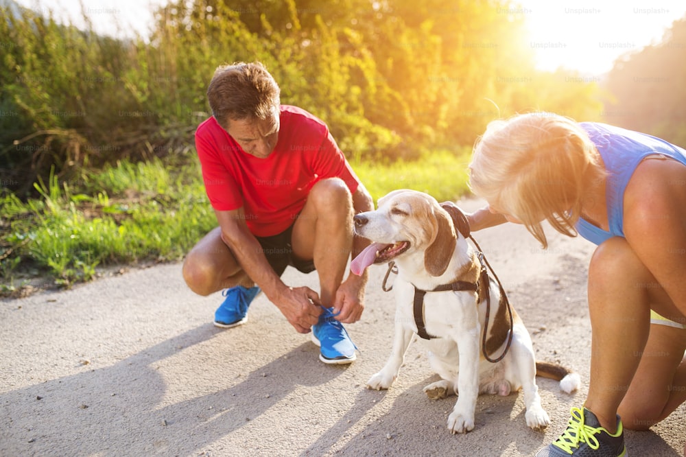 Personas mayores activas preparándose para correr con su perro afuera en la naturaleza verde