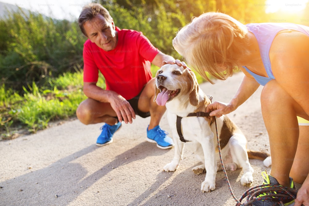 Active seniors getting ready for a run with their dog outside in green nature